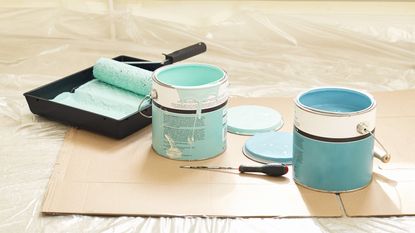 Decorating paint kit