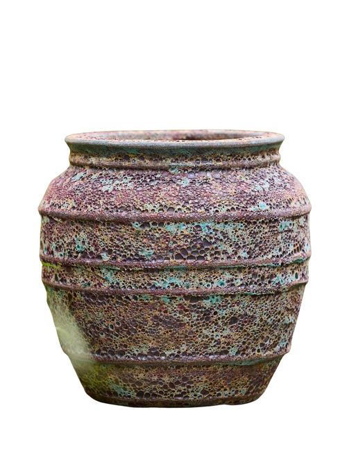 Barnacle Banded Olive Jar Planter