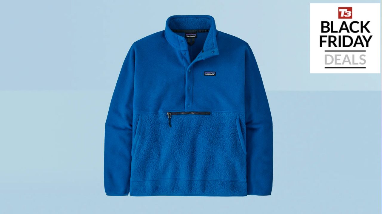 Patagonia Retro Pile Half-Snap Pullover
