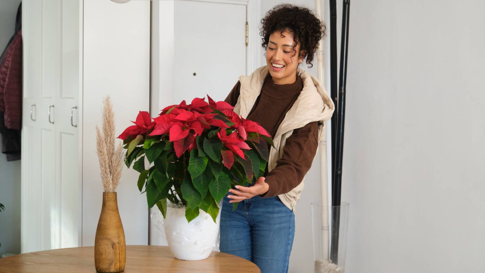 Smiling woman places a poinsettia on a table