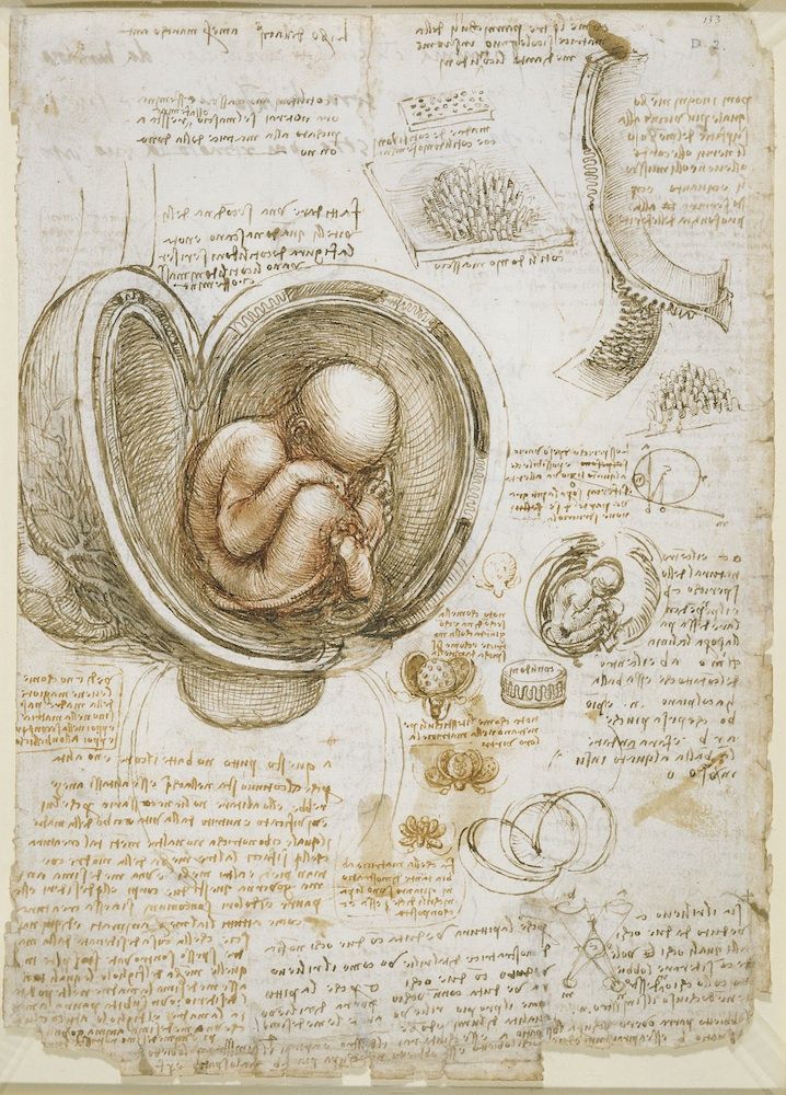 Human Body Part That Stumped Leonardo da Vinci Revealed | Live Science