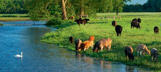 Capability brown landscapes to visit