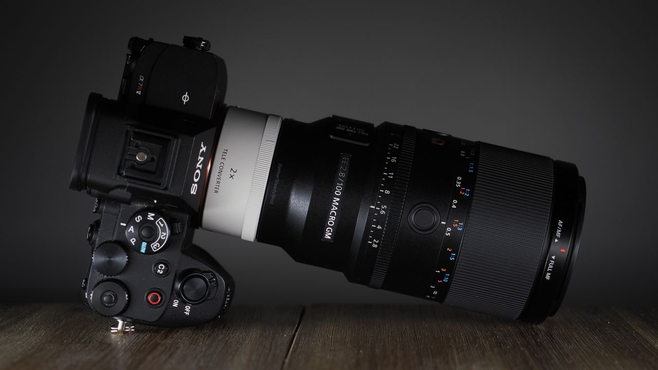 Sony FE 100mm f/2.8 Macro GM OSS on a wooden surface