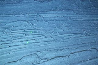 This image shows the effects of intensive bottom trawling on the seafloor of the flank of La Fonera Canyon 2,526 feet (770 meters) deep.