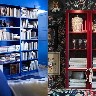 blue and red book shelves and floral wall