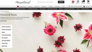 Harry & David flowers review: the site has plenty of gift options