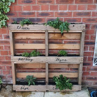 DIY pallet herb planter against a brick wall