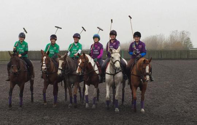 polohendressage