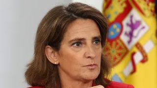 The incoming EU anti-trust chief Teresa Ribera