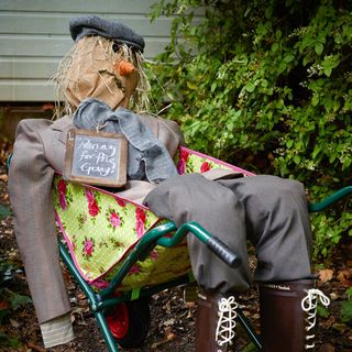 scarecrow on green chair