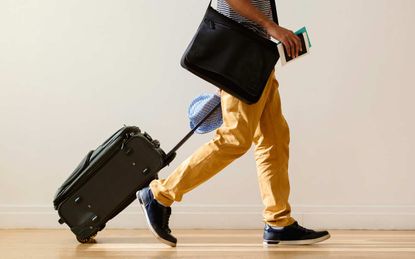Travel: Airline Baggage Fees