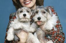 Young woman in red plaid blouse holding two sealyham puppies, Los Angeles, California, 1950s. (Photo by Camerique/Getty Images)