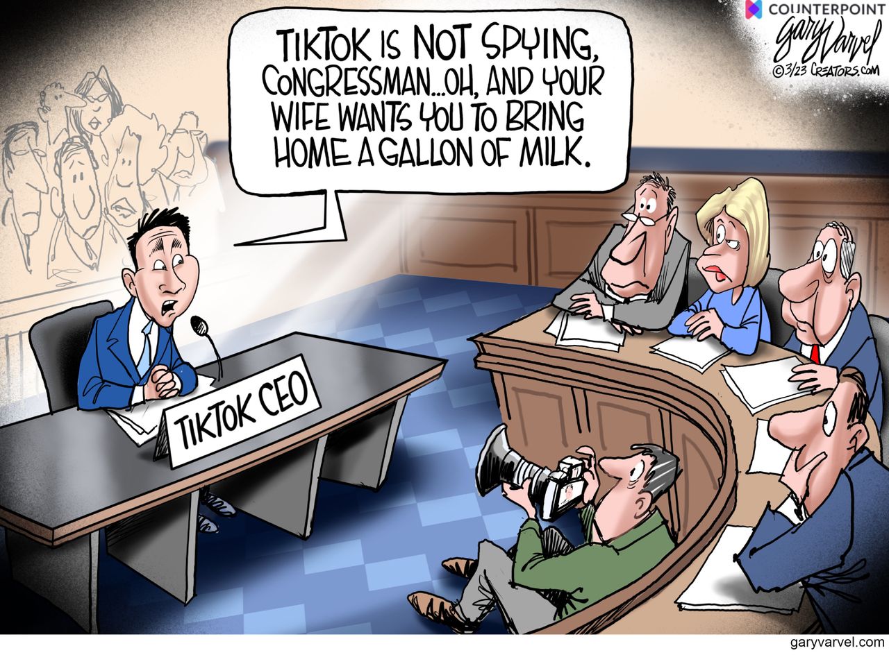 Political Cartoon