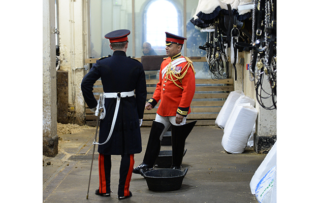 Back in the stables at Horse Guards, where the horses rest while not on duty