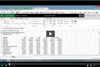 Video Tutorial: Excel Online Training