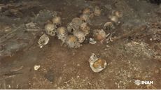 In 2012, about 150 human skulls were uncovered in a cave in Chiapas, Mexico and were investigated by the police as a possible crime scene.