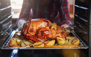 Cooked turkey being removed from the oven on Thanksgiving