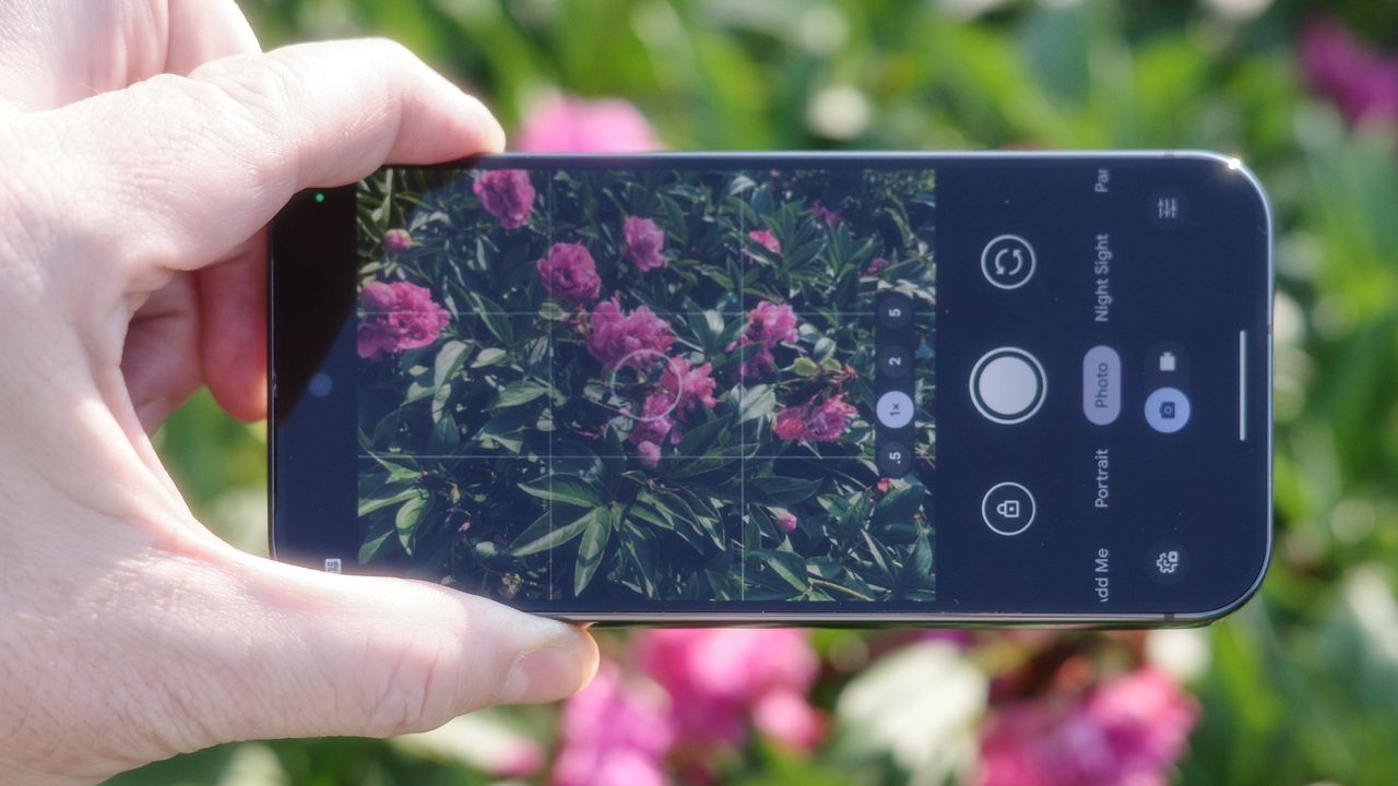 The best camera phones taking photos of red flowers in direct sunlight held individually and side by side