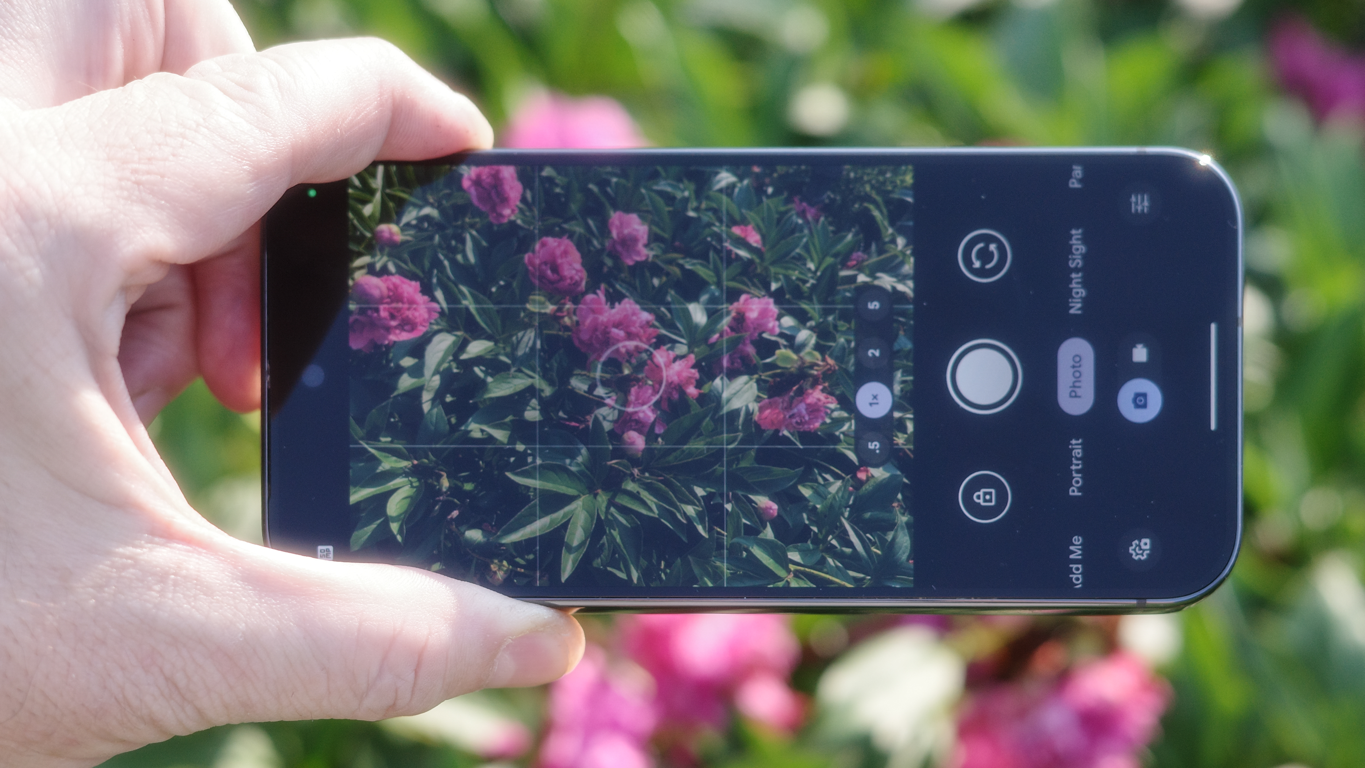 The best camera phones taking photos of red flowers in direct sunlight held individually and side by side