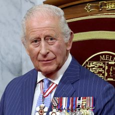 King Charles wearing a blue striped suit and medals