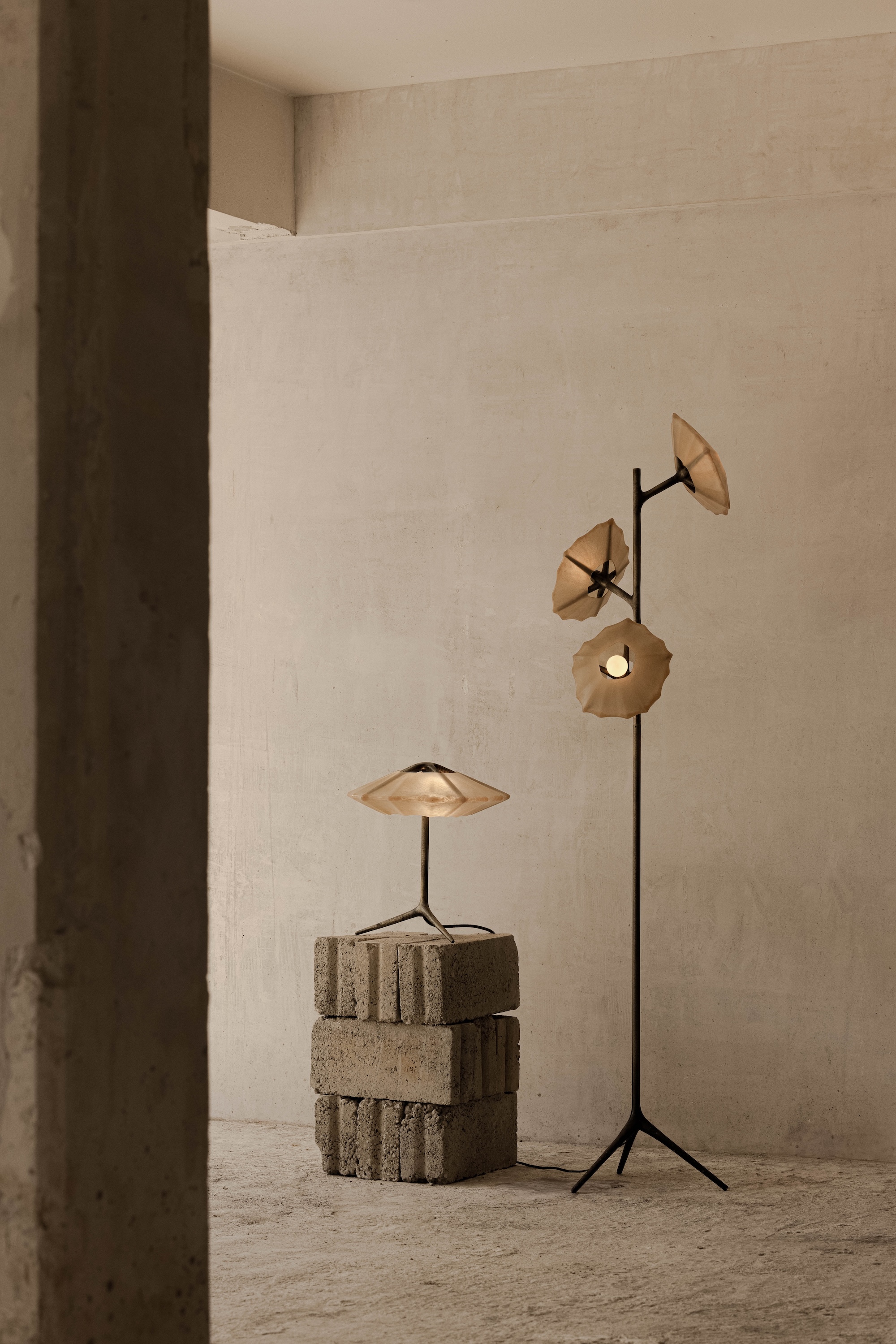 Salina Collection Federico Stefanovich
