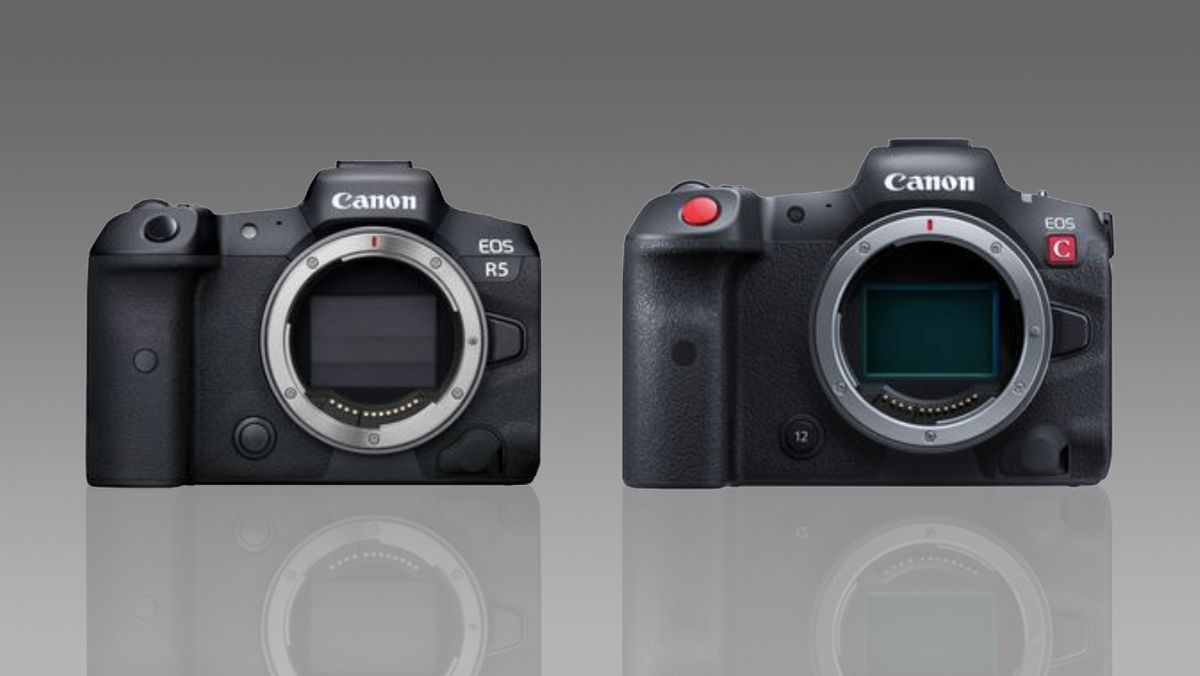 Canon EOS R5 vs R5 C: What are the differences and which 8K camera is best?