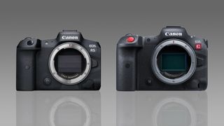 Canon EOS R5 vs R5 C