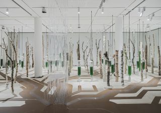 the biodesign work and experiments of ecologicstudio