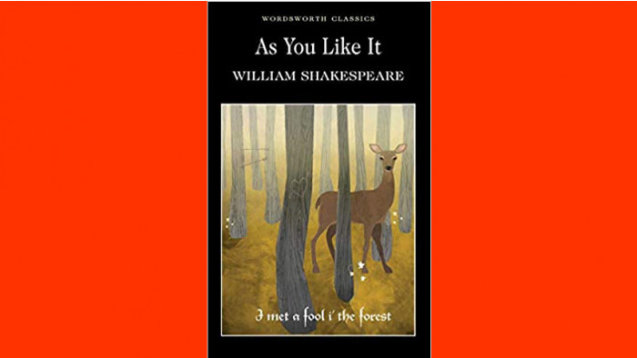 Best literary insults