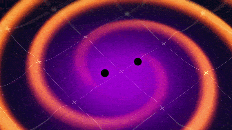 Looped video footage showing gravitational waves rippling away from a pair of colliding black holes