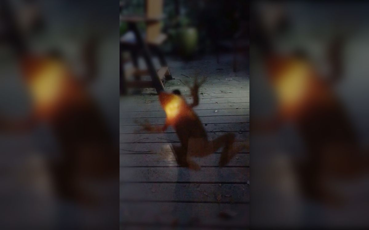 Watch This Frog Light Up After It Swallows a Firefly Live Science