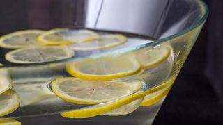 Bowl of water with slices of lemon to steam clean and deodorise an oven