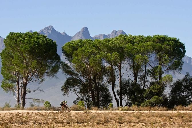 Racers during stage 5