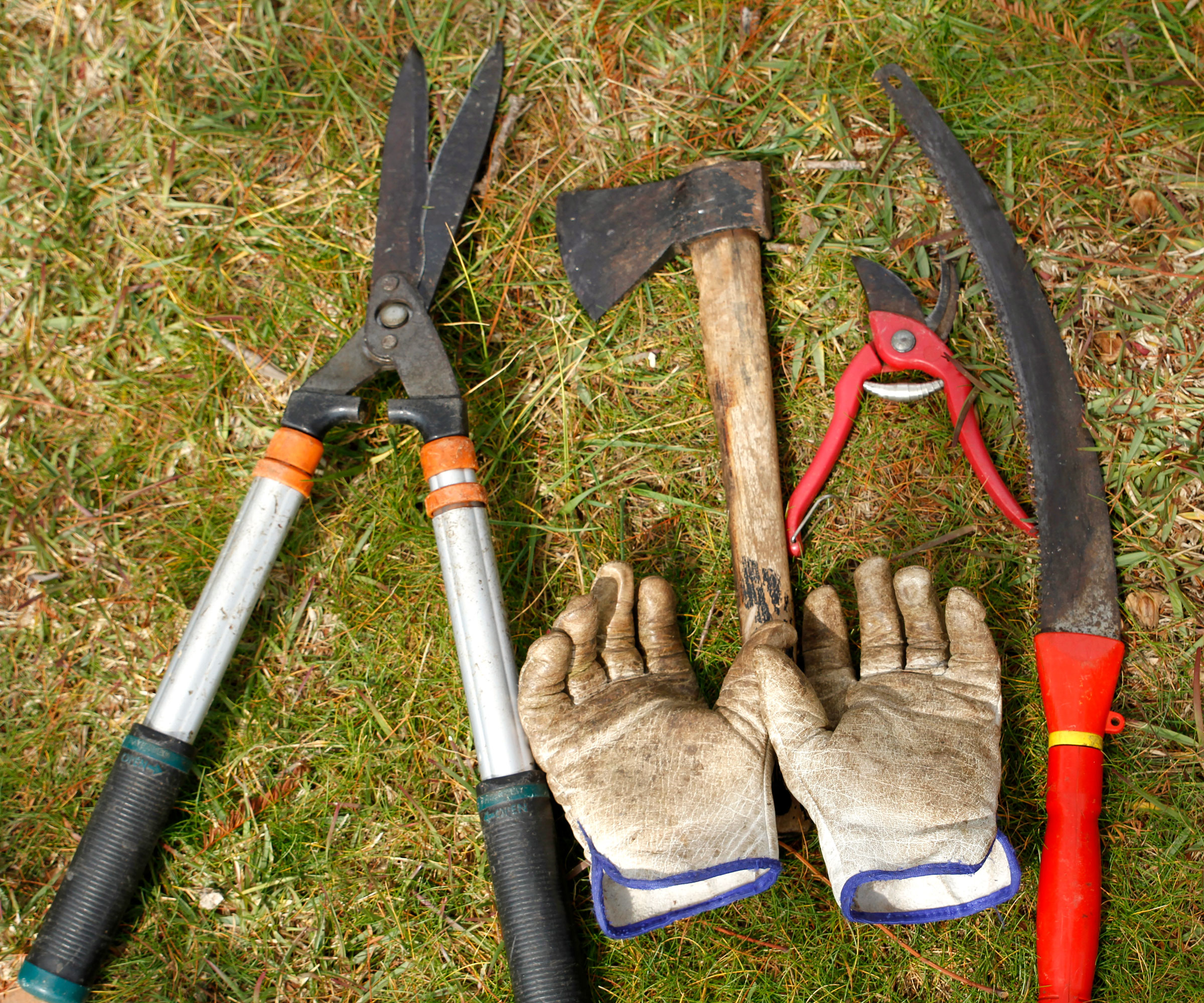 assorted pruning tools on garden lawn arranged with gloves