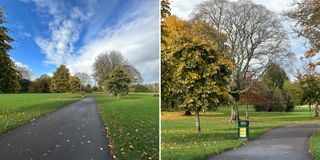 Two side-by-side images of a park on a sunny day, one is zoomed out, the other is zoomed in