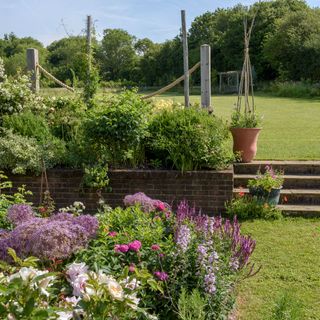 garden with flowers and potted plants