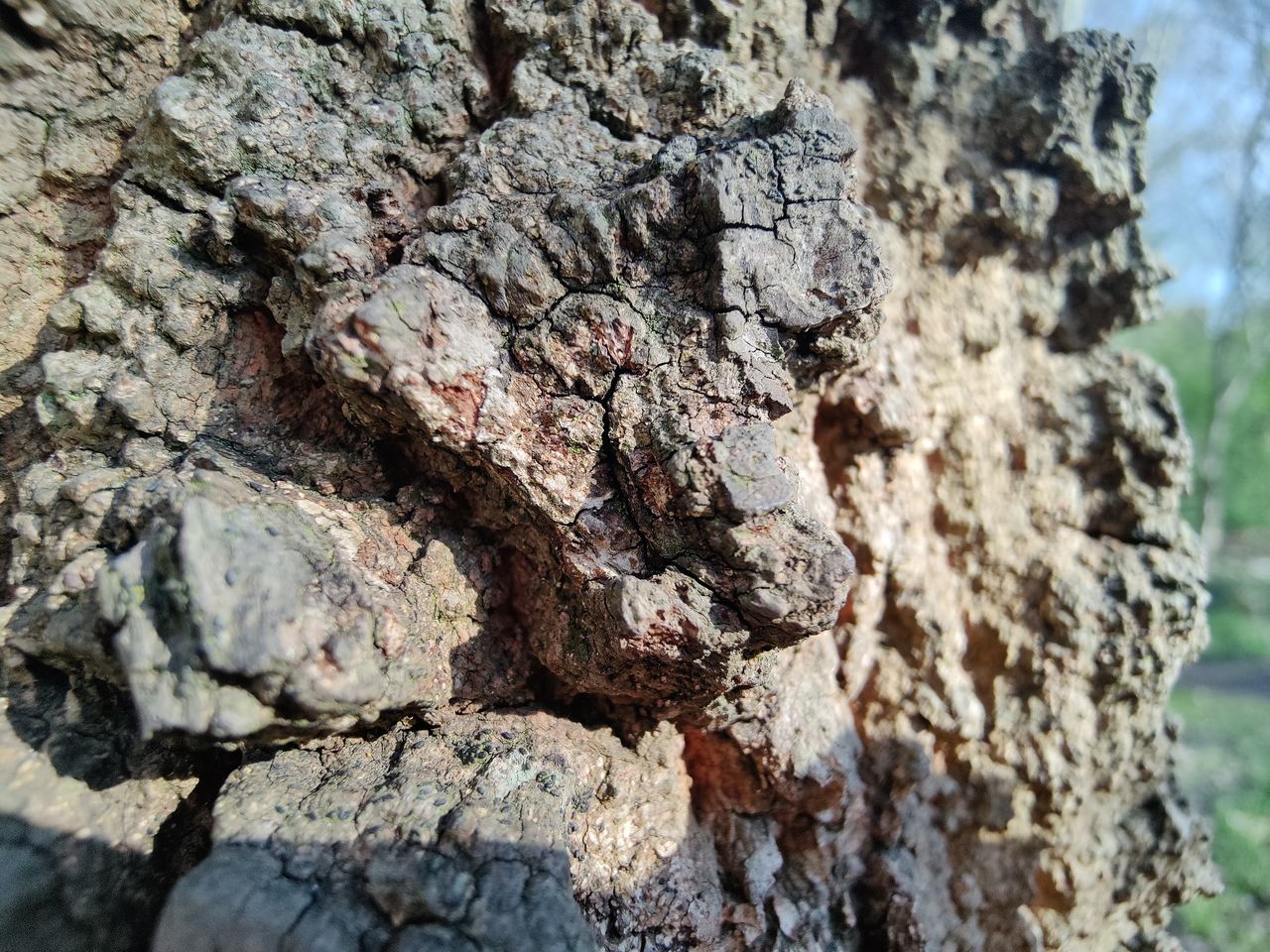 OnePlus 9 Pro camera samples