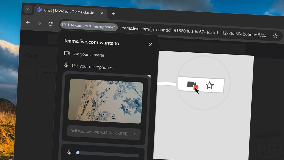 Google Chrome webcam preview feature