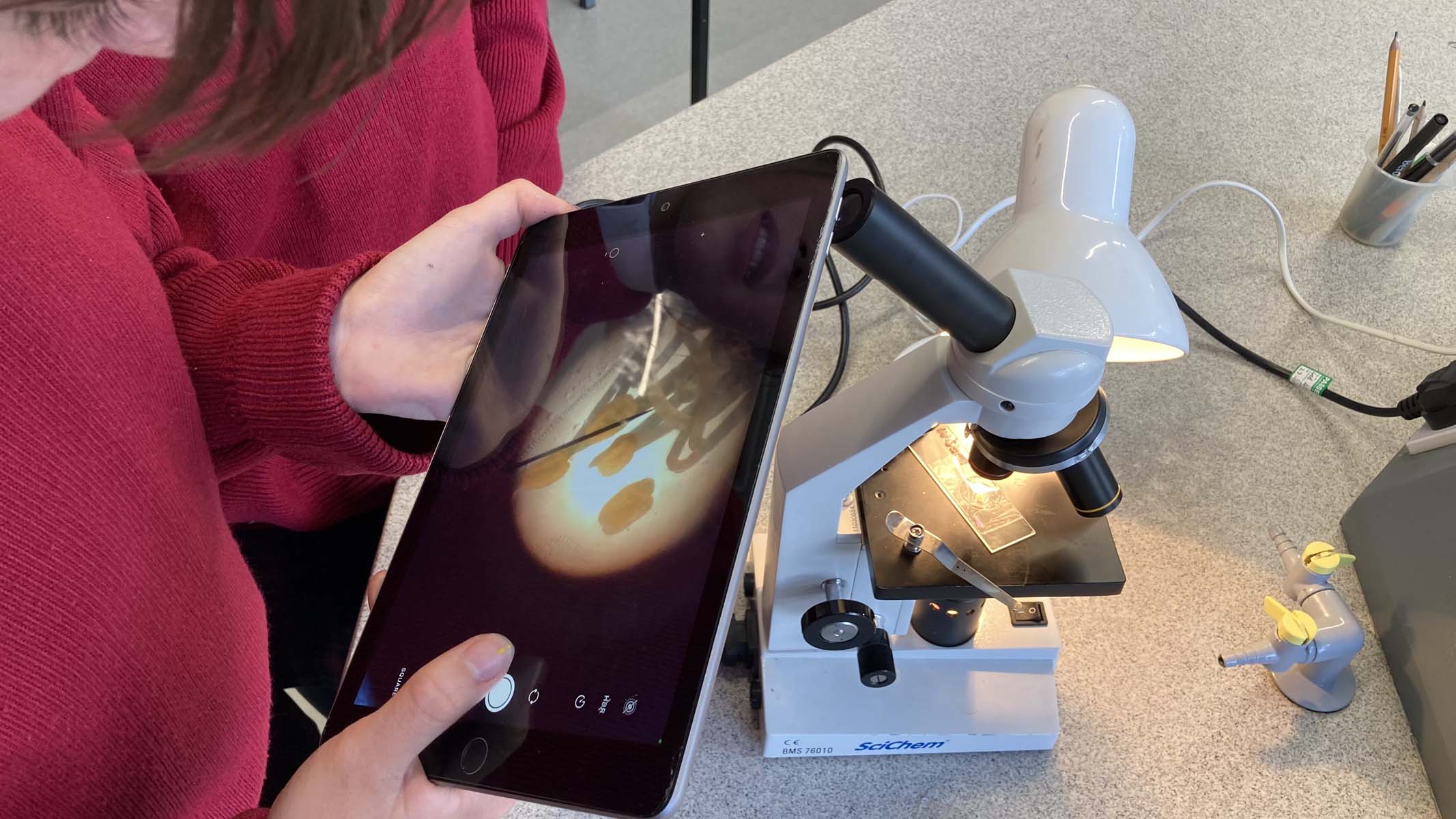 photographing a microscope specimen