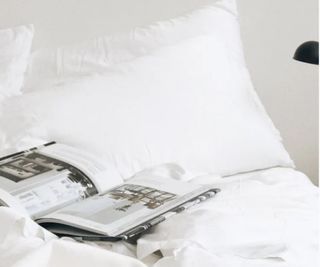 Cozy Earth Silk Pillows on a bed beside an open book.