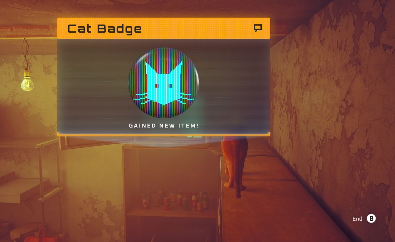 stray cat badge