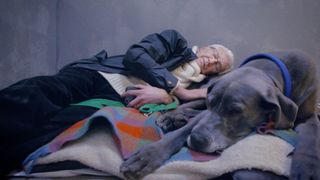 TV tonight Paul gets comfortable with Great Dane Tammy