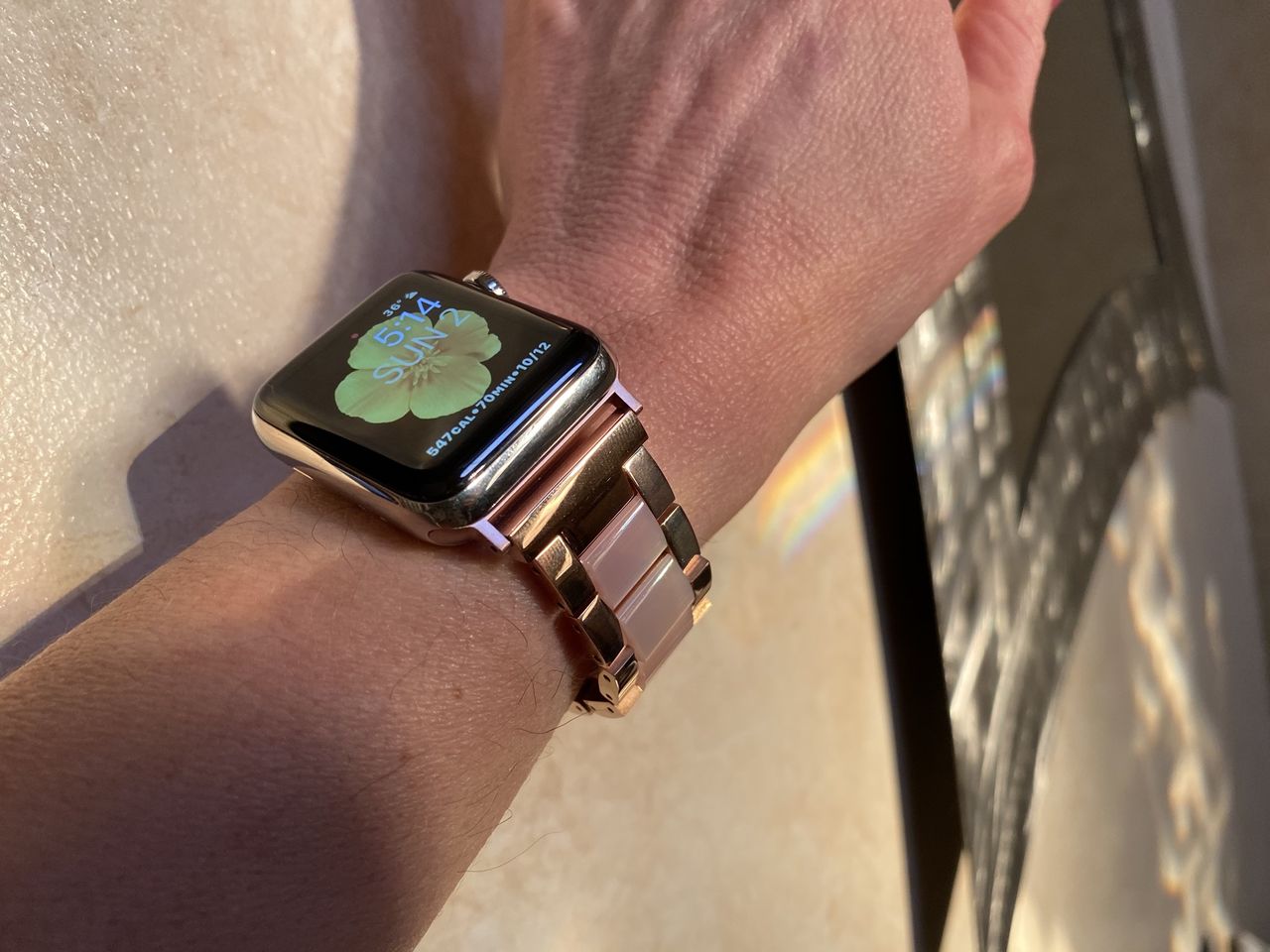 Wearlizer Stainless Steel and Resin Apple Watch Band