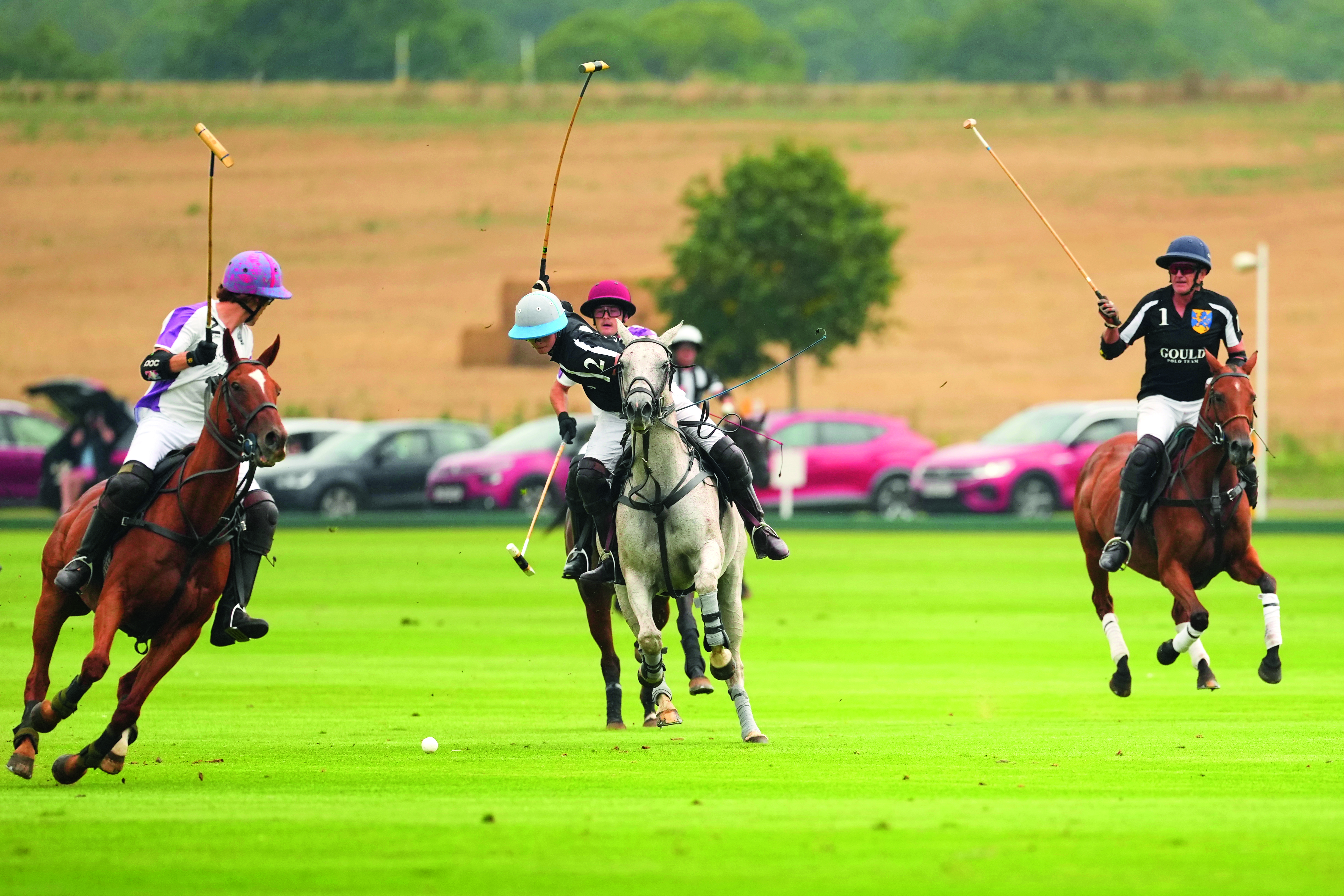 People on horses, riding around at speed, doing polo things like hitting a small ball with a big stick 