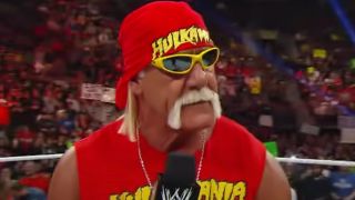 Hulk Hogan in the WWE
