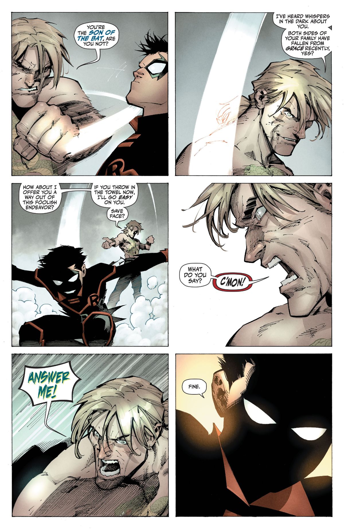 Robin #1