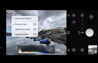 A screenshot of the Halide camera app on an iPhone showing the different RAW processing options