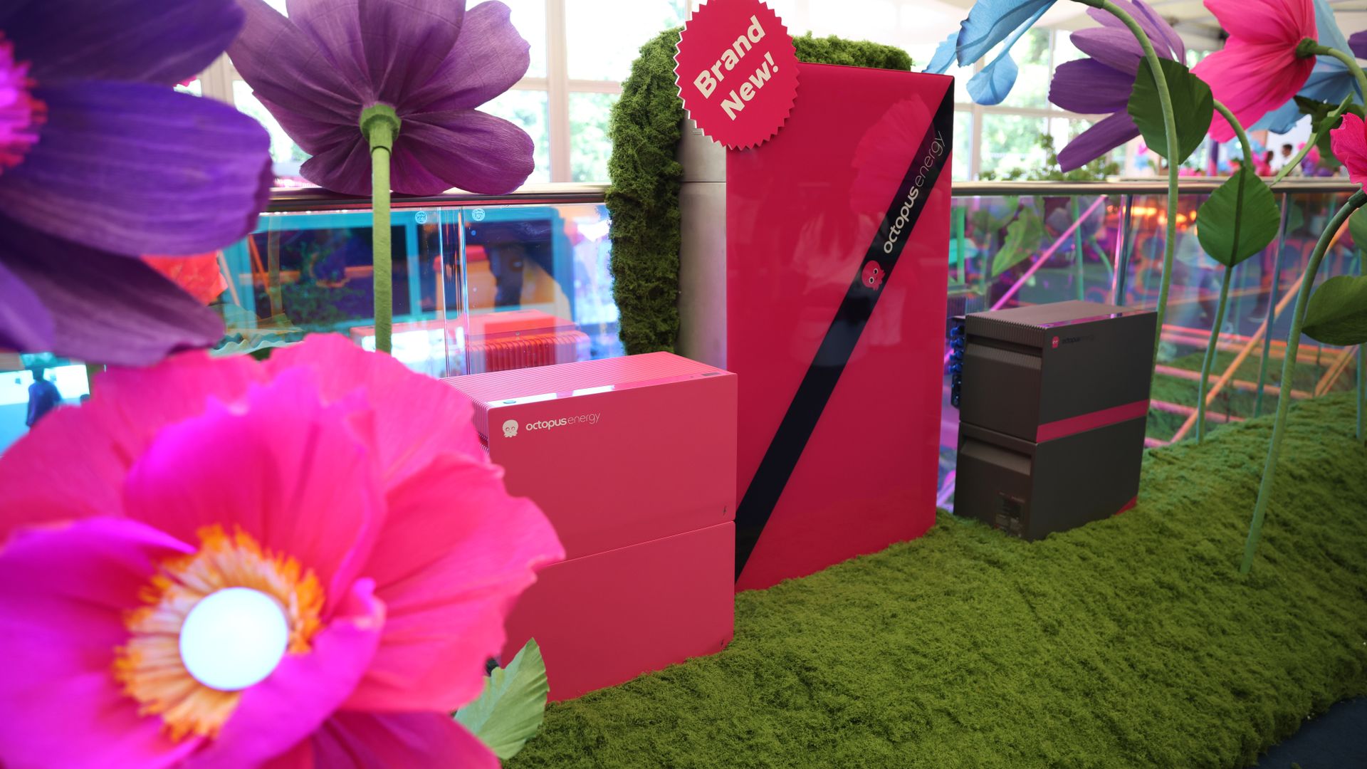 Octopus Energy's plug-in solar kits sell out but more are 'on the way' 2 Three Octopus Nook home batteries on a stand at a show