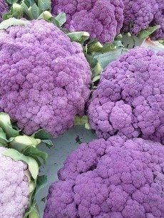 Purple Cauliflower-Like Vegetables
