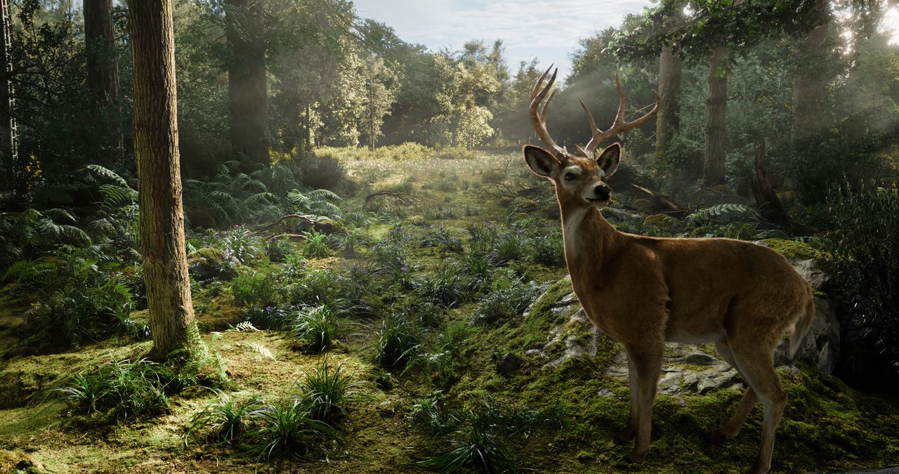Making the VFX of Here; a forest scene, before and after